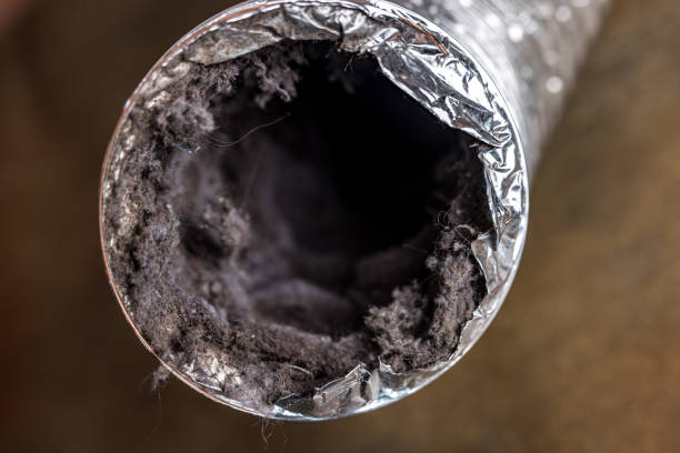 Best HVAC Duct Inspection Services  in Ovilla, TX